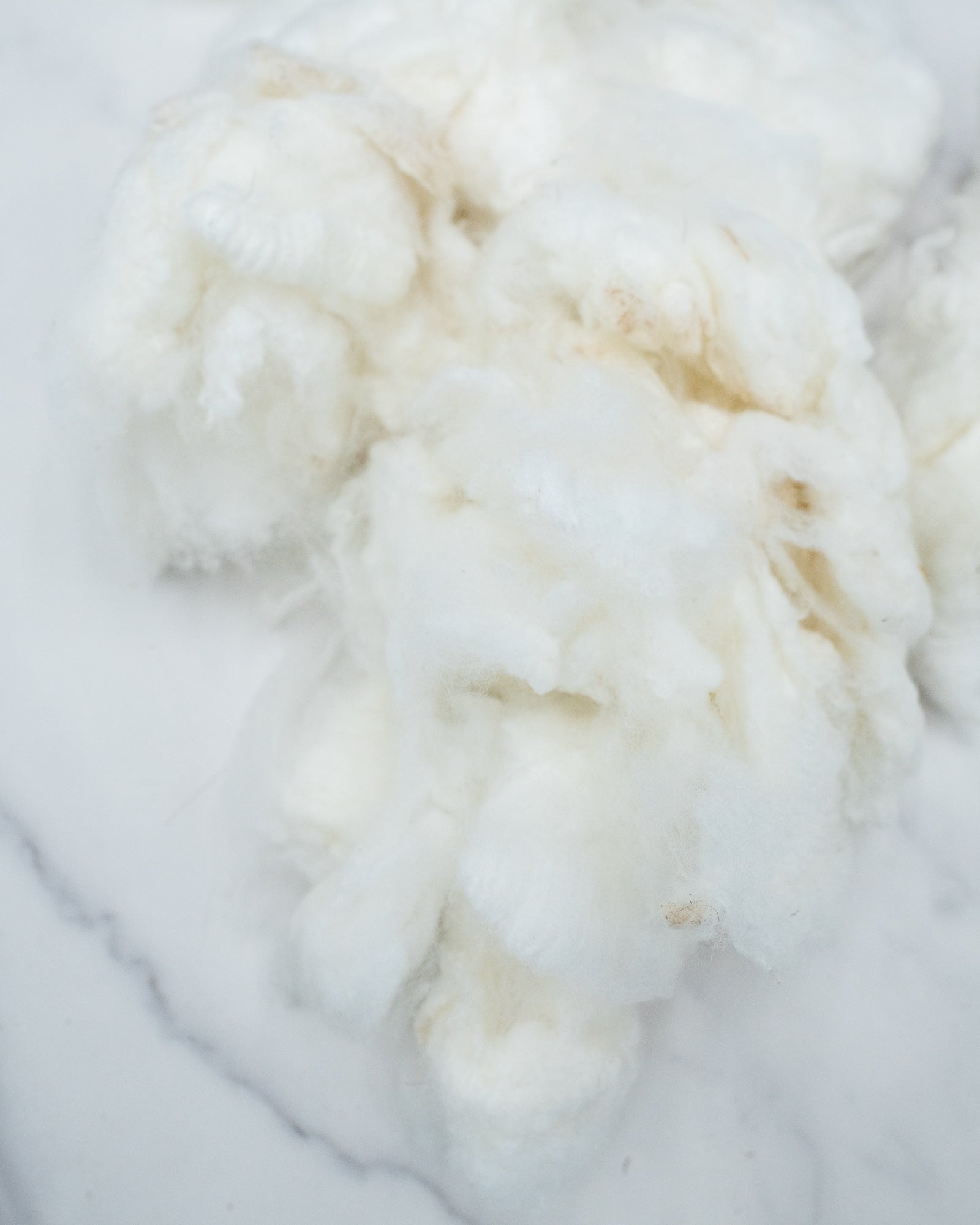 Pearl the 20 micron merino - washed locks