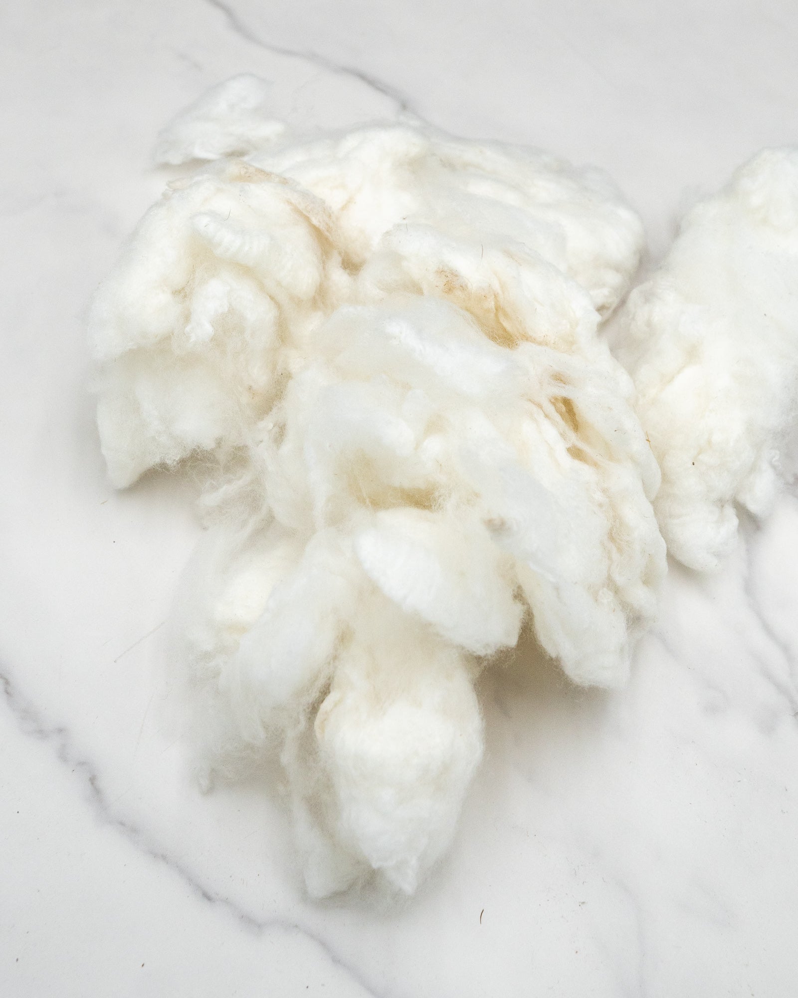 Pearl the 20 micron merino - washed locks