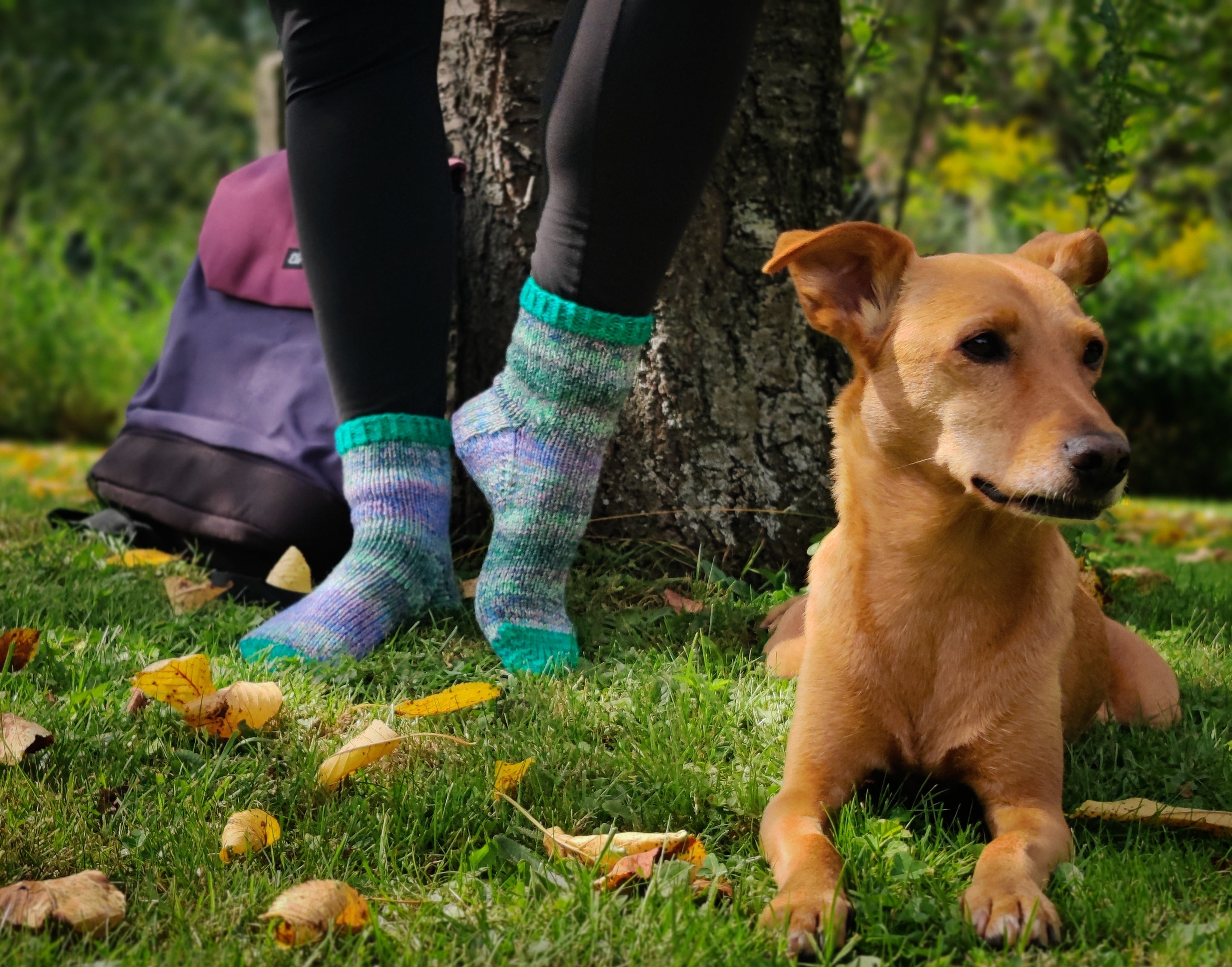Adventure Days Socks Tester Roundup