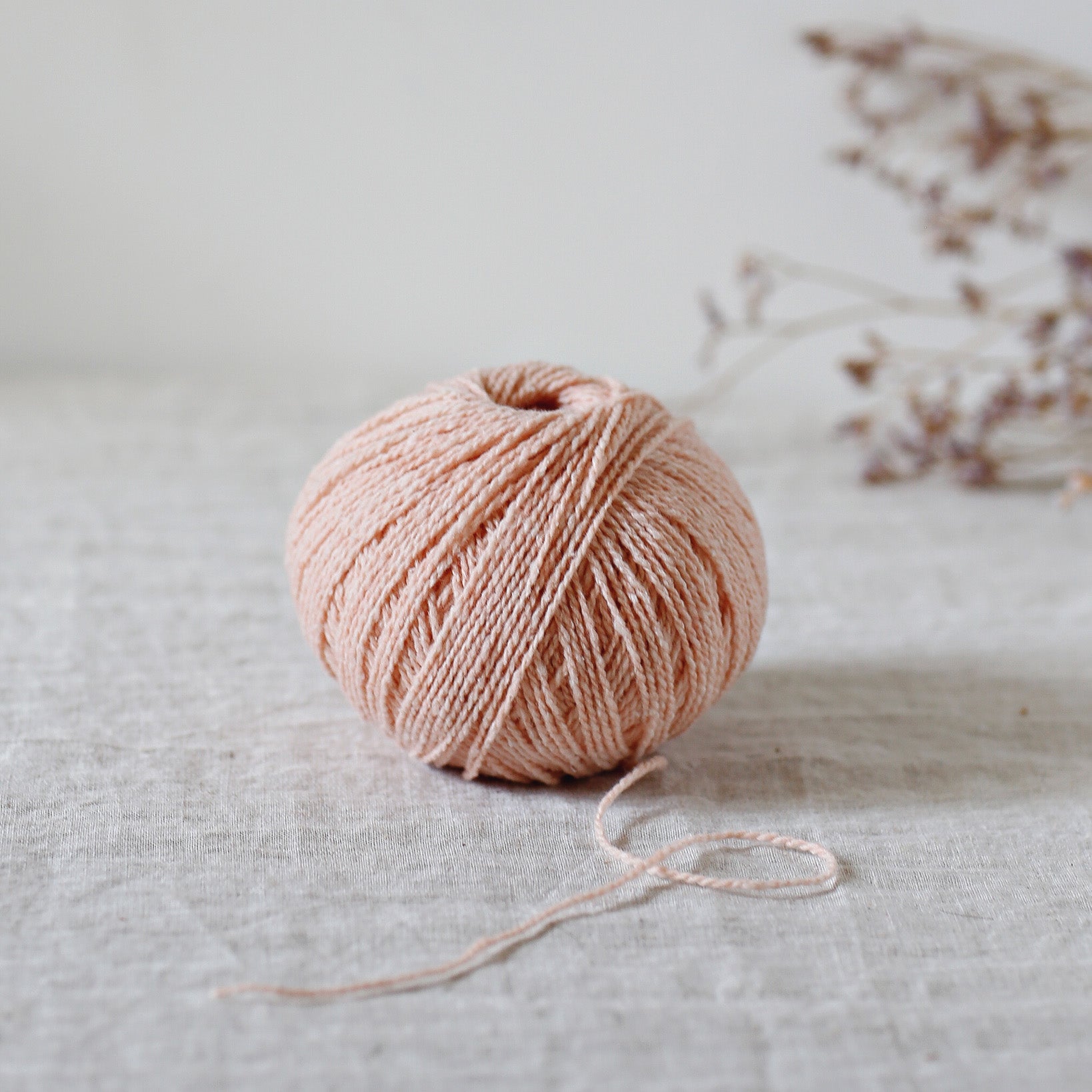 Candide - sport weight yarn