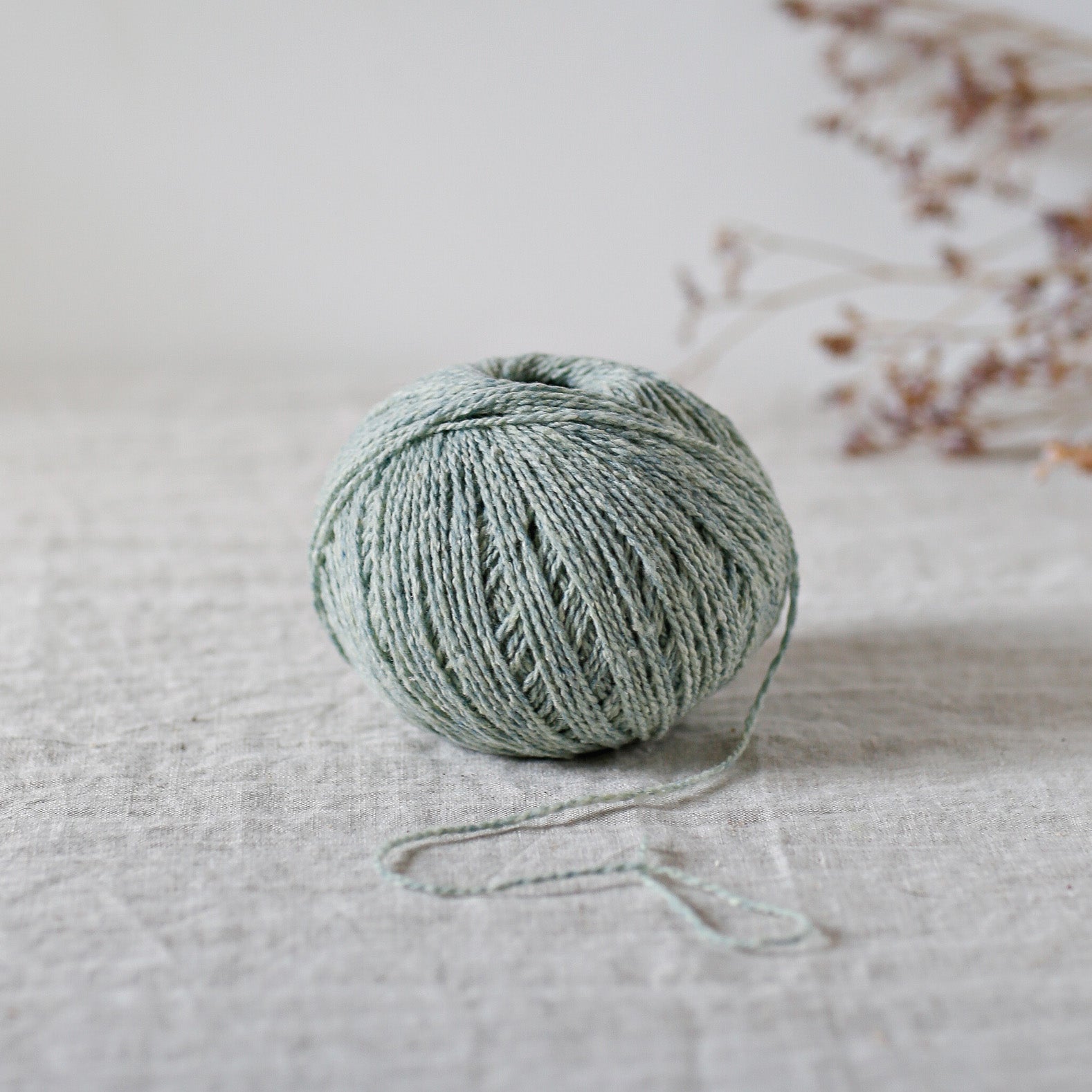 Candide - sport weight yarn