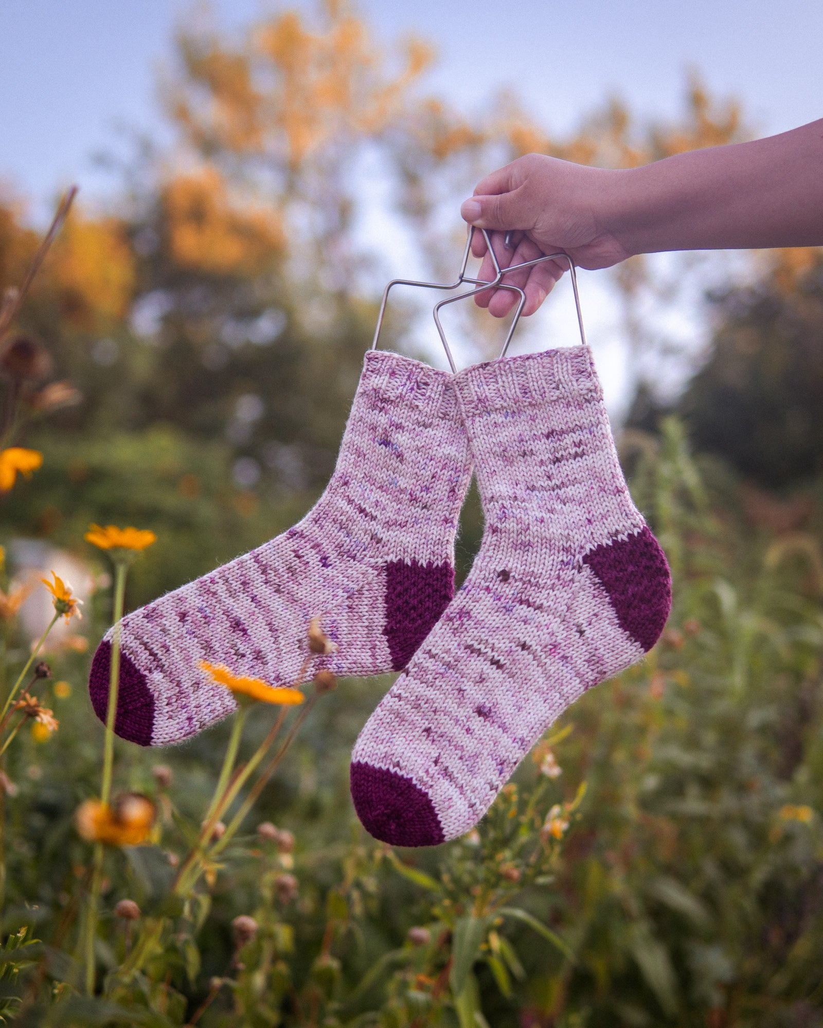 Adventure Days Socks - Knitting Pattern (PDF)