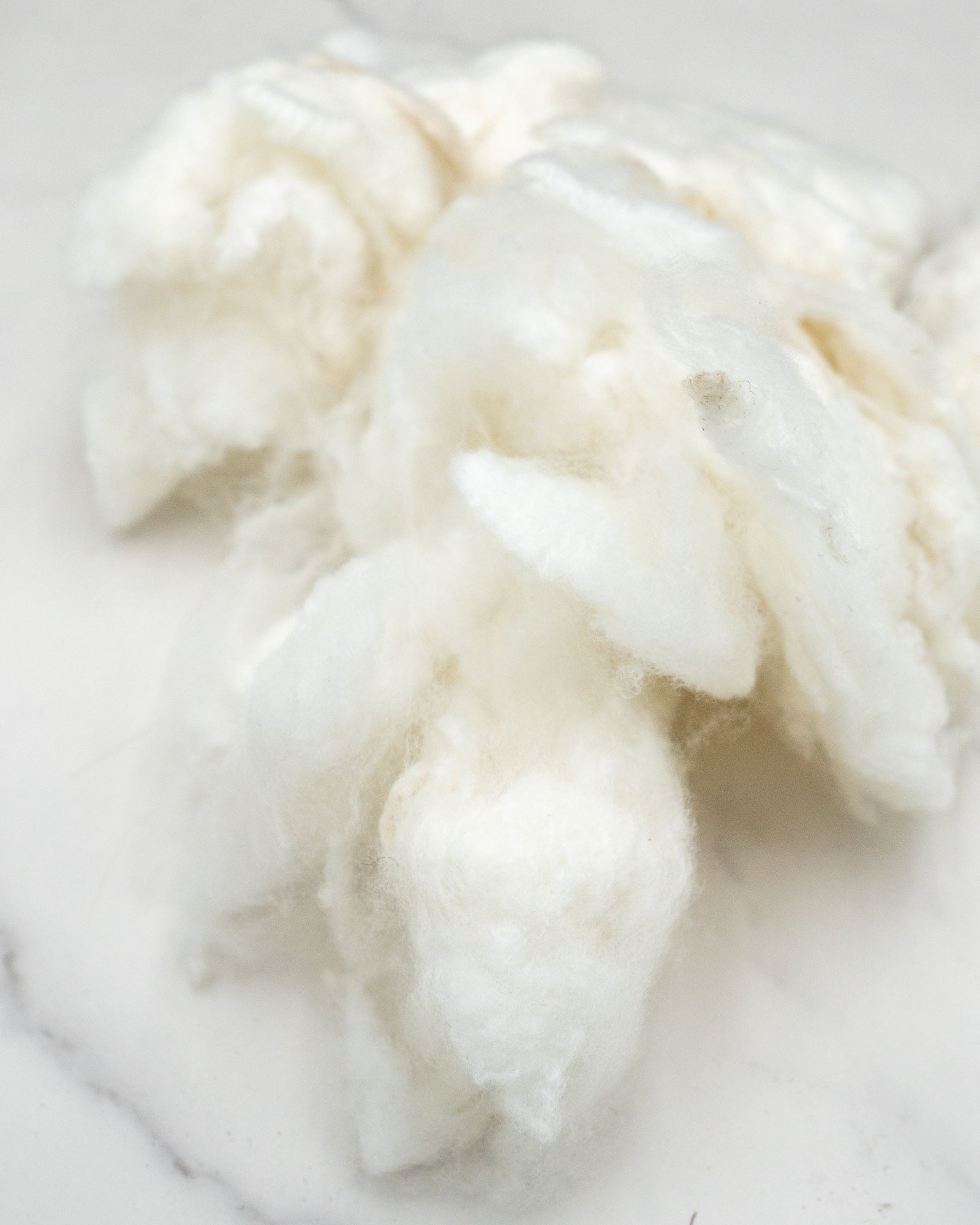 Pearl the 20 micron merino - washed locks