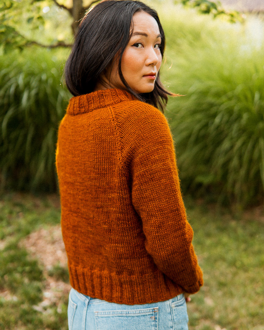 Friendship Pullover - Knitting Pattern (PDF)